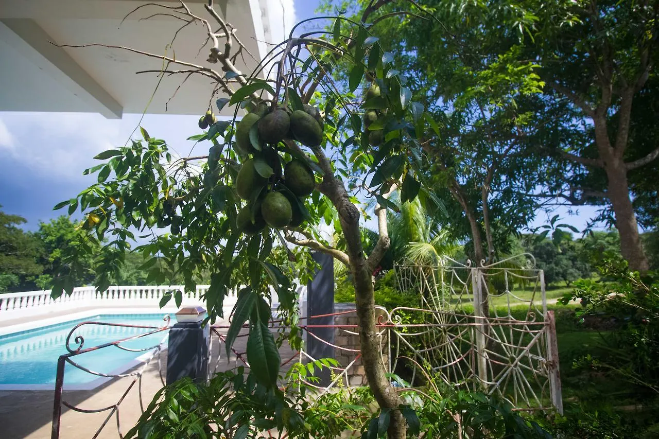 Rainbow Hill Villa Negril 0*,